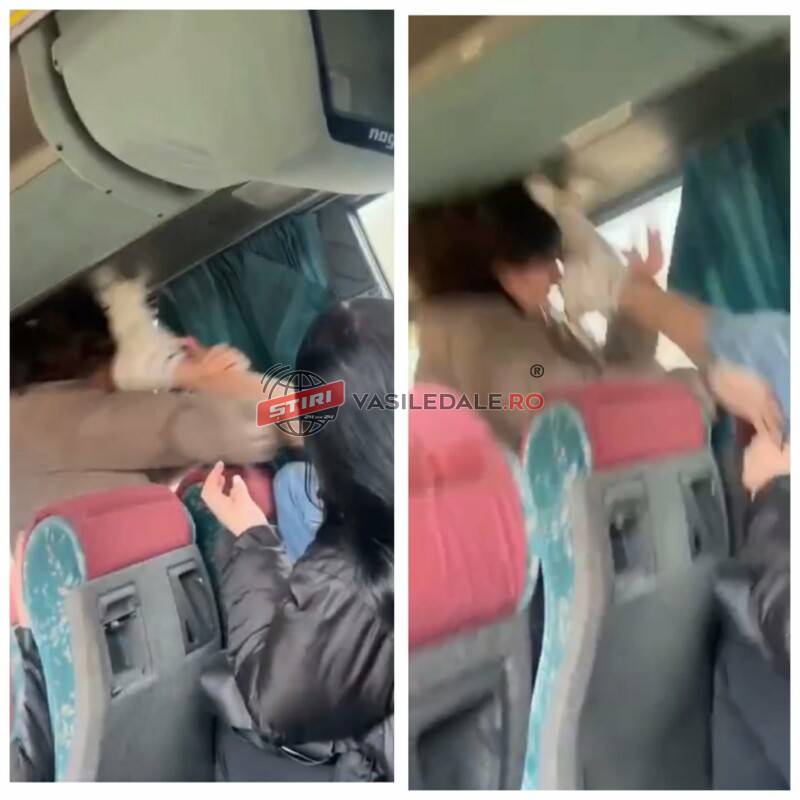 EXCLUSIV: O elevă a fost lovită cu piciorul în cap în microbuzul care transportul și elevi de o colegă pe ruta Tg Lăpuș – Băiuț (VIDEO)