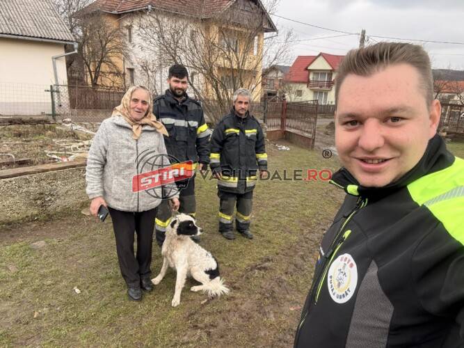 SVSU TÂRGU LĂPUȘ: Câinele Ochiuț, din nou acasă