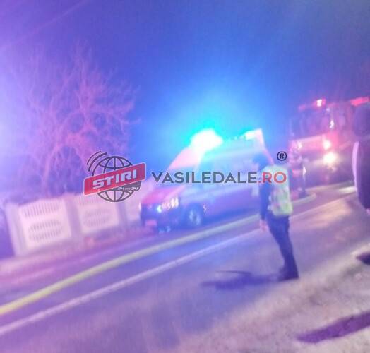 Incendiu violent la o halǎ din Săpânța. Un bărbat lovit la cap dus la spital (exclusiv foto)