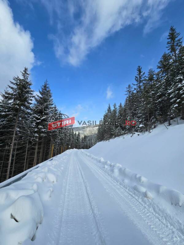 REGIA NAȚIONALĂ A PĂDURILOR – ROMSILVA: Drumurile forestiere sunt întreținute conform legii, nu există nereguli la Catarama