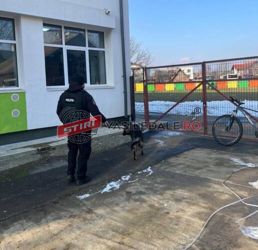 Polițiștii au desfășurat controale în școli din Sighetu Marmației, pentru prevenirea victimizării minorilor