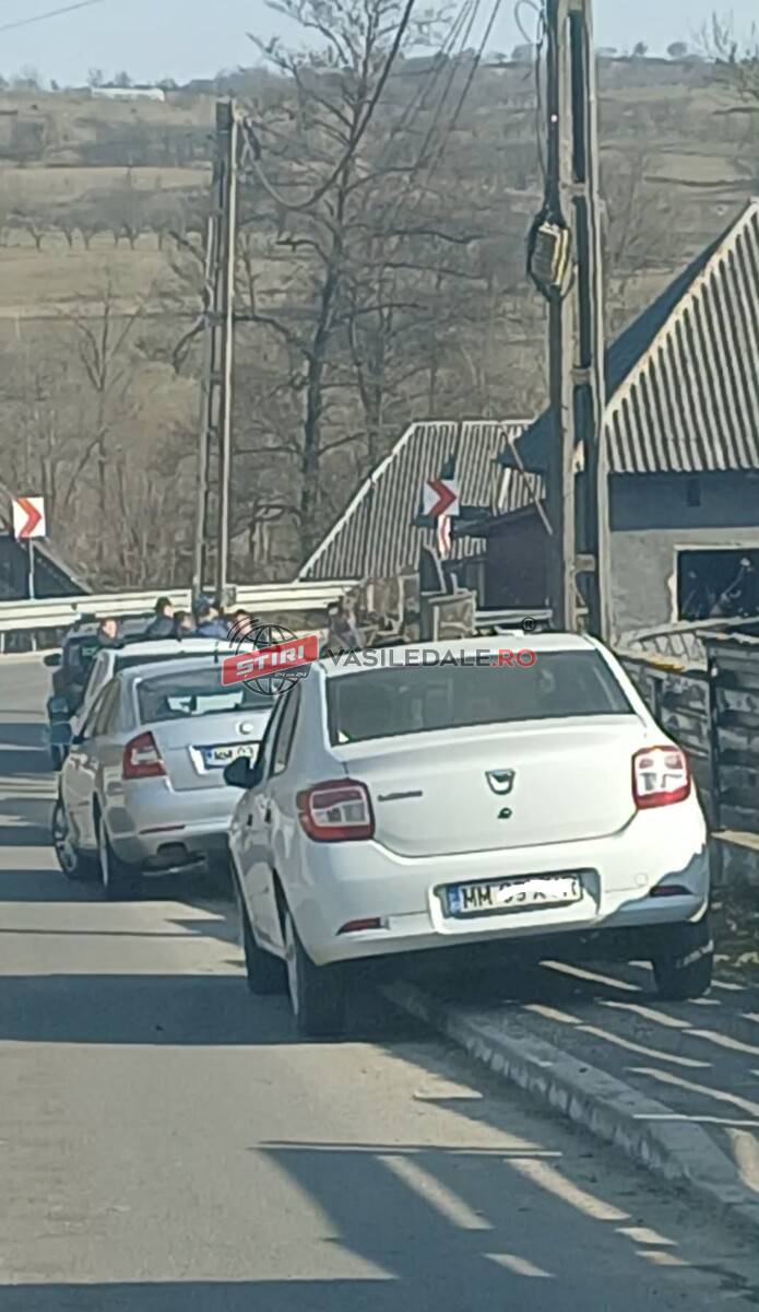 EXCLUSIV: Percheziții ale polițiștilor maramureșeni în Hărnicești (foto)