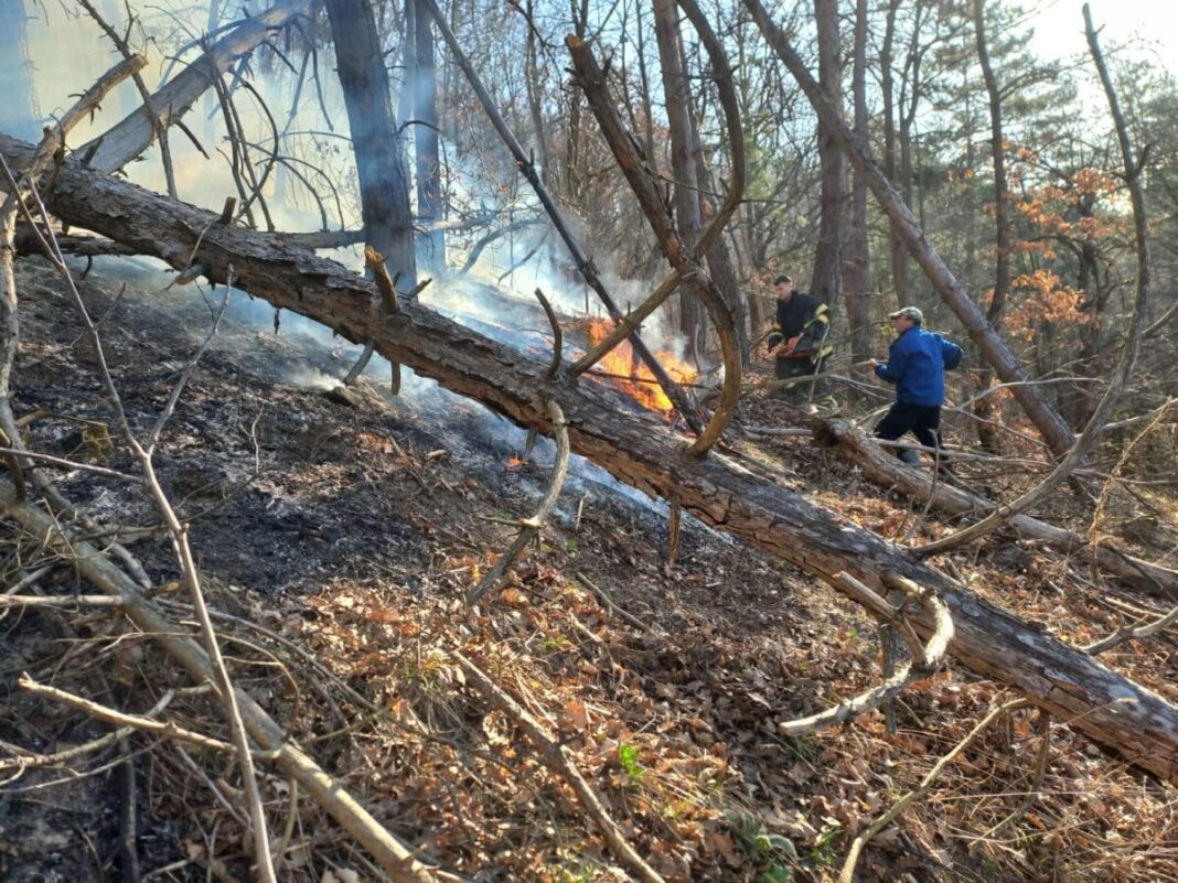 19a92f46-9e28-4f1d-86c2-3b0e913521e8