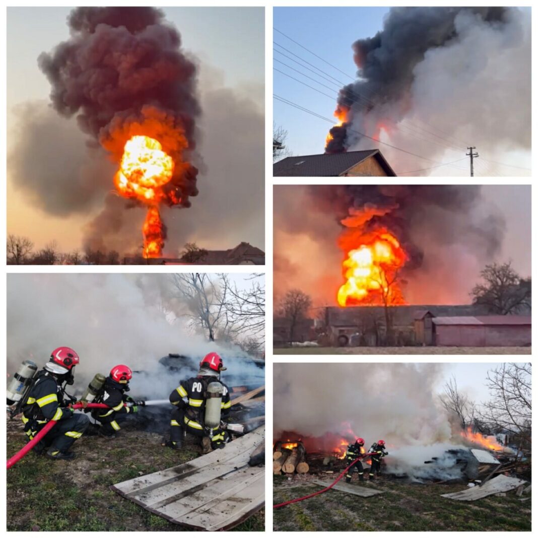 2a87e732-9ee0-4989-b692-76478b4f04b4