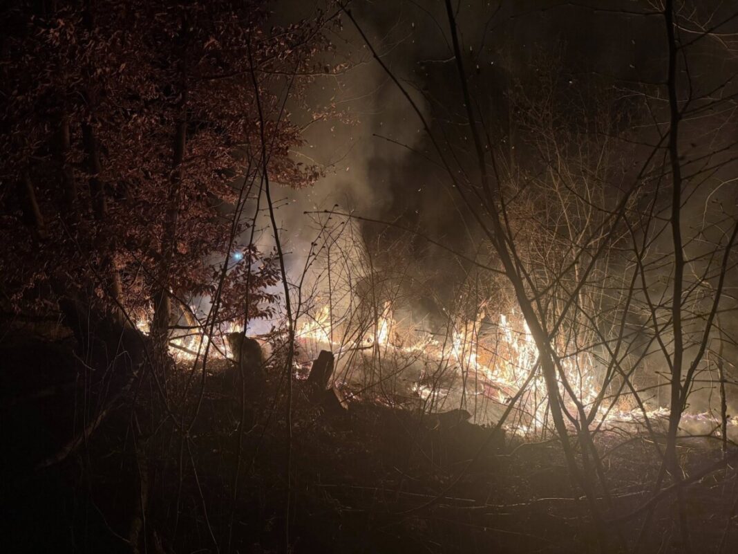 Intervenții rapide ale SVSU Târgu Lăpuș la două incendii de vegetație uscată – foto