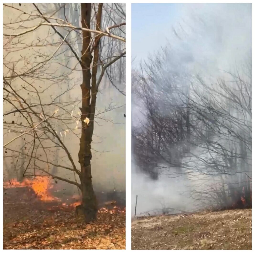 Arde padurea dintre Maramures si Bistrita Nasaud in zona Suciu de Sus (exclusiv video)