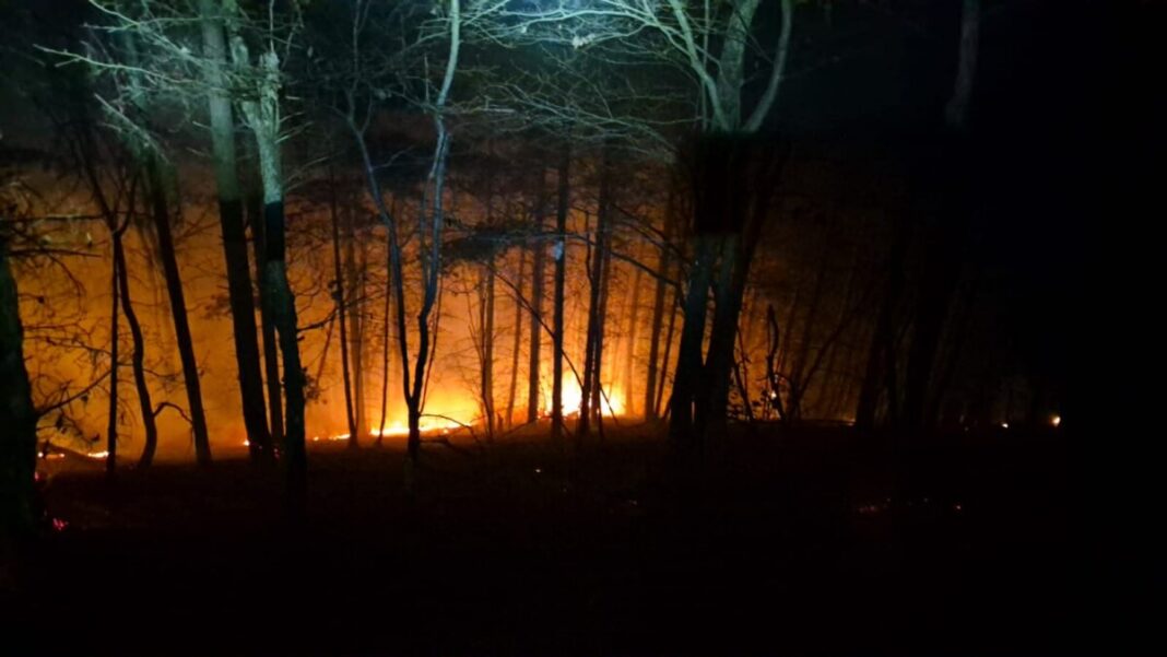IRESPONSABILITATE – ARD PĂDURILE MARAMUREȘULUI! Niciun vinovat după ce pompierii au stins 14 incendii izbucnite în județ!! 50 hectare pădure în flăcări la Năneșt (foto / video)