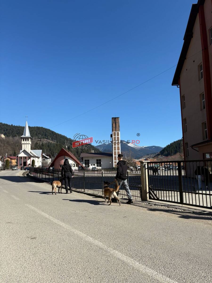 BORȘA: Activități preventive ale polițiștilor în școli, lecții despre bullying, droguri și siguranța online