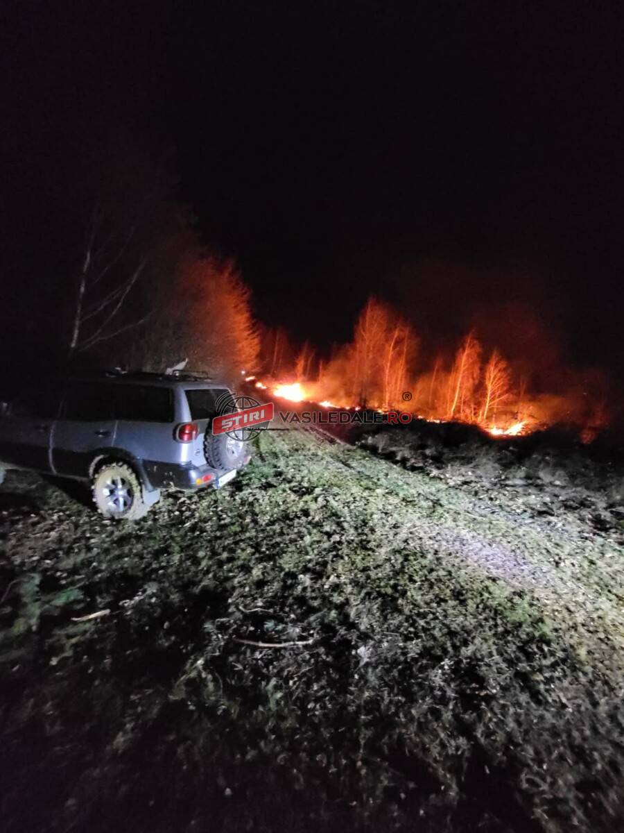 b05ba927-e8d7-4e6f-bace-578bdba57a82