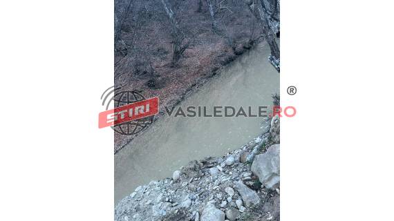 big_whatsapp_image_2026-03-17_at_13.12.22