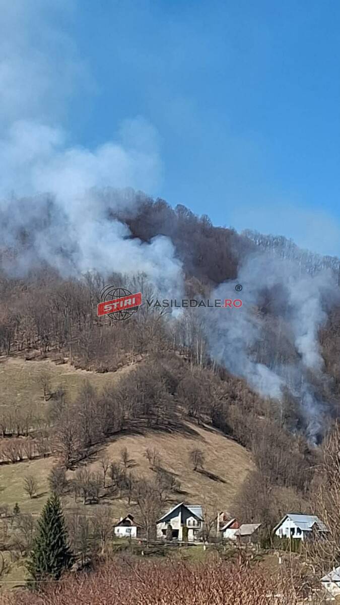 ULTIMĂ ORĂ: Foc într-o pădure din zona „la pasaj” de la ieșirea din Vișeul de Jos (VIDEO / FOTO EXCLUSIV)
