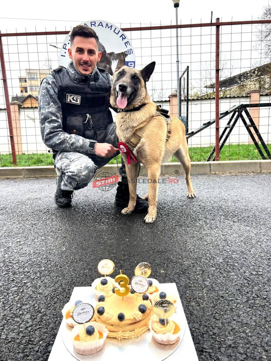 La mulți ani, Dovah! Câinele de serviciu care veghează cu devotament a împlinit 3 ani