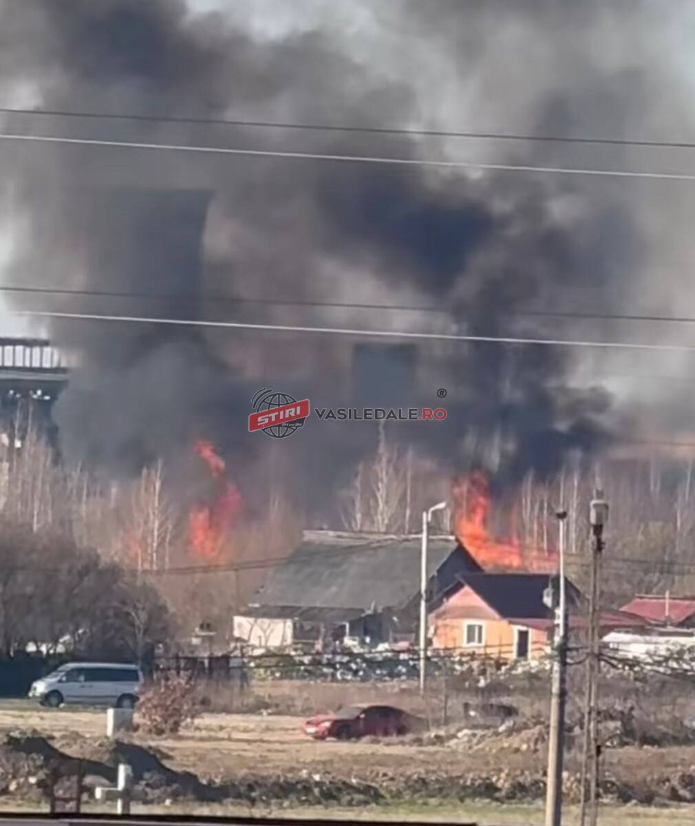 VIDEO: Incendiu violent de vegetație uscată pe str. V. Lucaciu din Baia Mare