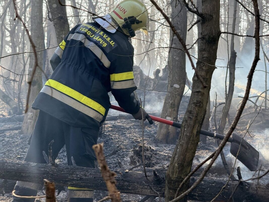 Zi de foc pentru pompierii voluntari ai SVSU Târgu Lăpuș