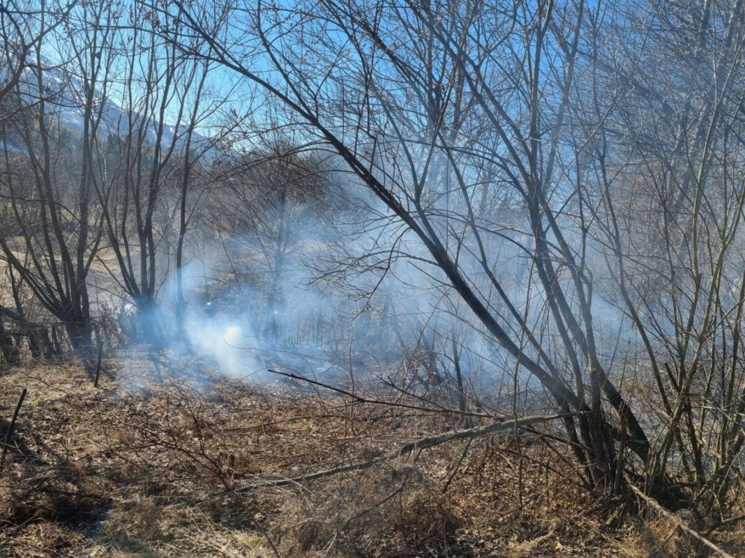 IEUD: Incendiu de vegetație uscată în zona Pârâul Muncelului