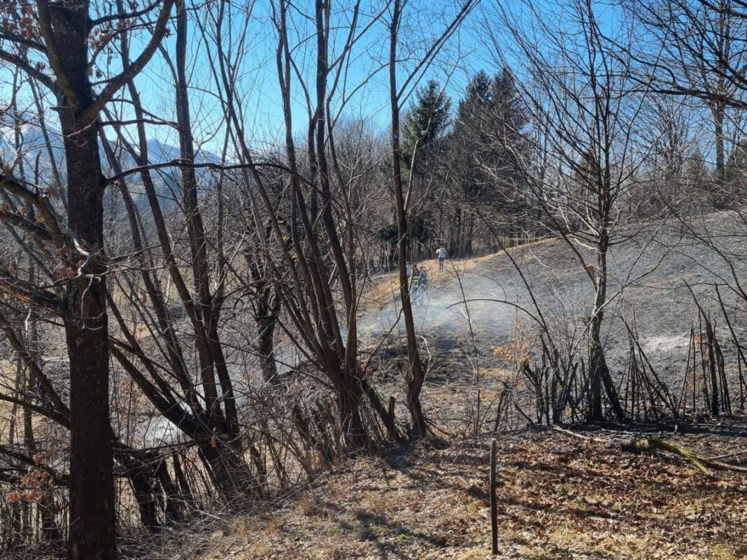 Weekend intens pentru pompierii maramureșeni, cu peste 110 intervenții și zeci de hectare de teren afectate de incendii de vegetație