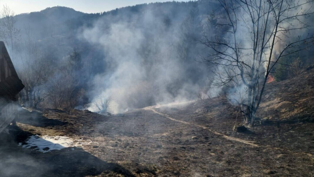 ALERTĂ: Incendiu de vegetație la Poienile de Sub Munte, limitată în ultima clipă
