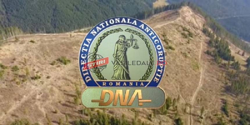 MEGA-DEZVĂLUIRI Clujust.ro: Procurorii DNA Baia Mare se spală pe mâini în cazul jafului forestier de milioane de euro din Parcul Natural ”Munții Maramureșului”