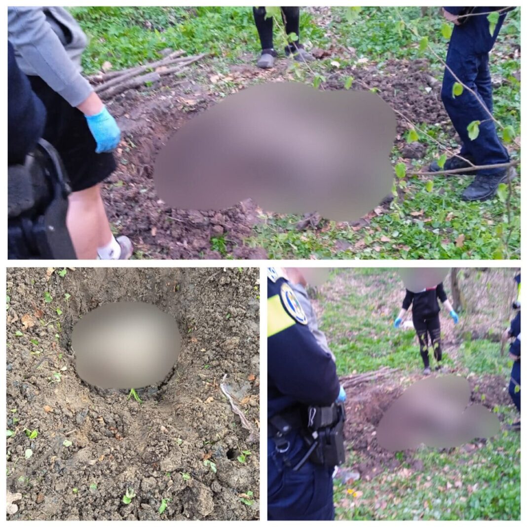 EXCLUSIV: REVOLTĂTOR – Ar fi îngropat de viu un câine la Coaș. Micuța Miriam, alături de familie, l-a căutat toată ziua prin pădurile de lângă sat (foto/video)