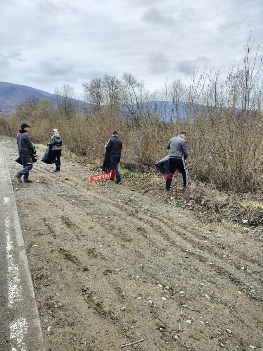 DRAGOMIREȘTI: Polițiștii au participat la o activitatea de ecologizare pe raza orașului
