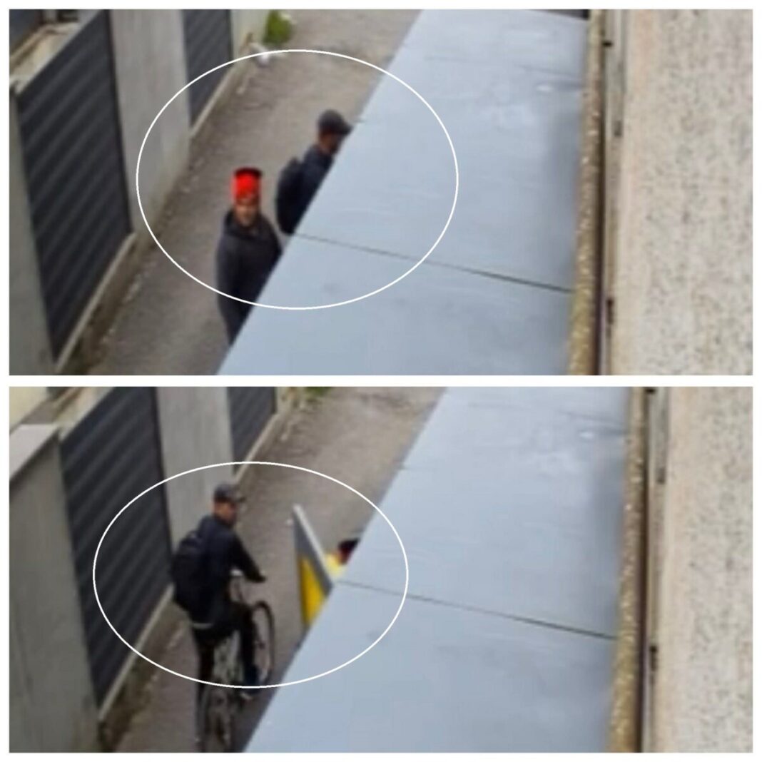 e940a6e2-a941-4c55-87c9-7a45e20fc330