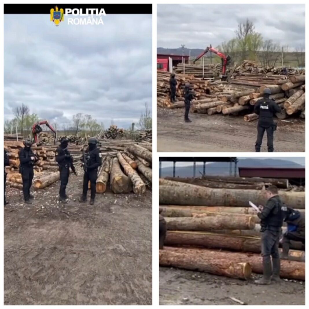 fba4a615-f77a-435d-a6c0-33614c6f2b9e