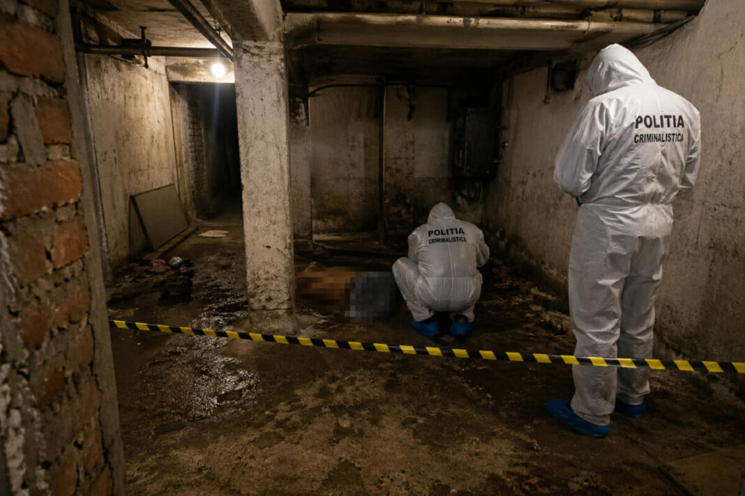 EXCLUSIV: Cadavrul descoperit în subsolul unui bloc din Vișeu de Sus. Criminaliștii poliției în alertă maximă