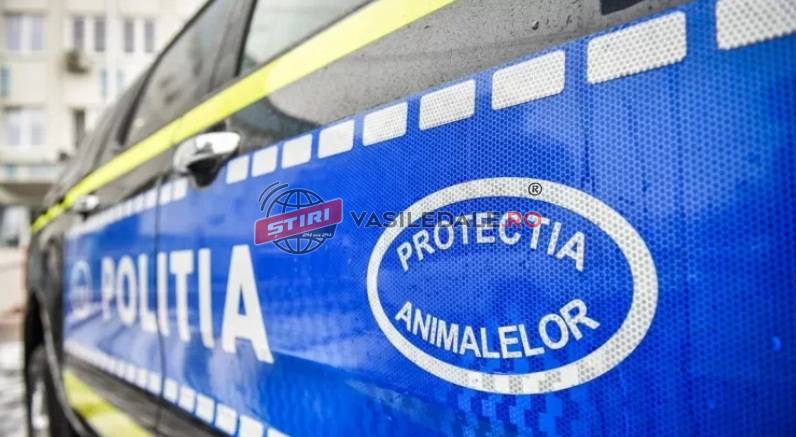 protectia animalelor