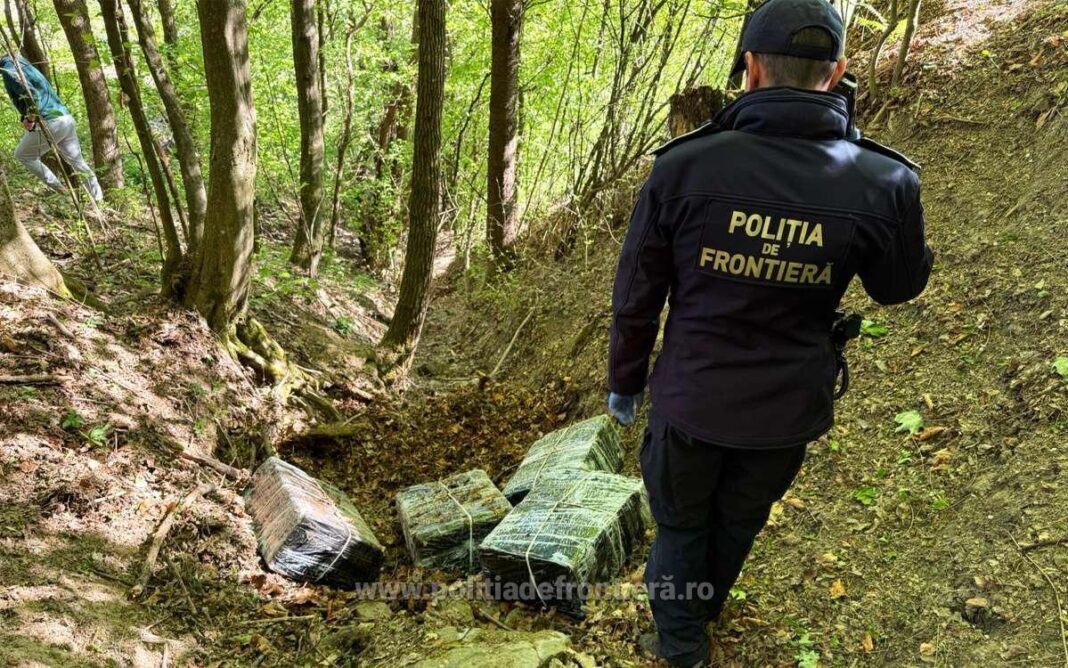 Percheziții la Valea Vișeului: Țigări de contrabandă camuflate în vegetație și mobilier. Un minor și tatăl său, alături de alți 4 adulți, reținuți. Mașini și 13 conturi bancare blocate de procurori (VIDEO)