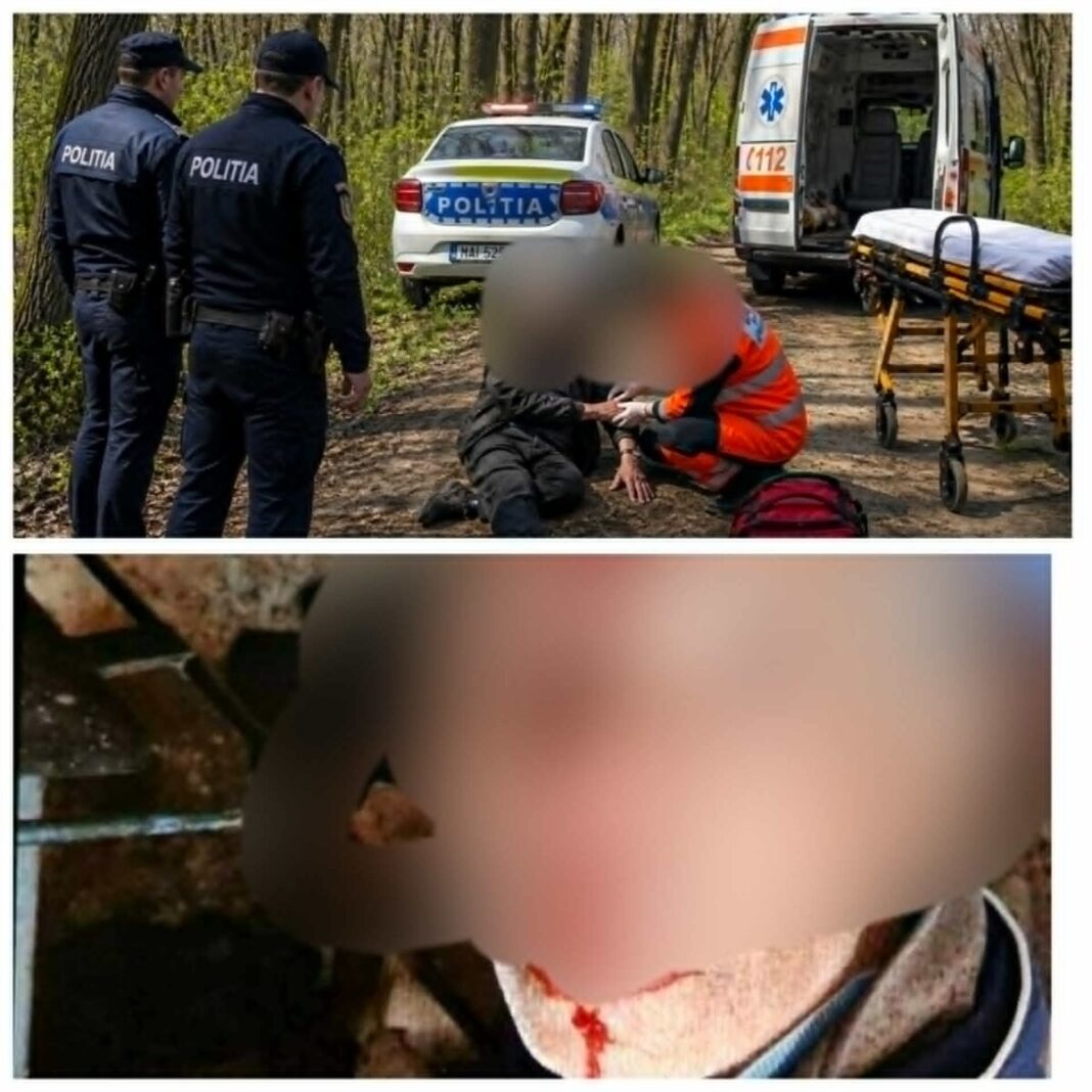 ANCHETĂ: Bărbat lovit în cap într-o pădure din FERICEA. Nu-și amintește ce s-a întâmplat (exclusiv foto)