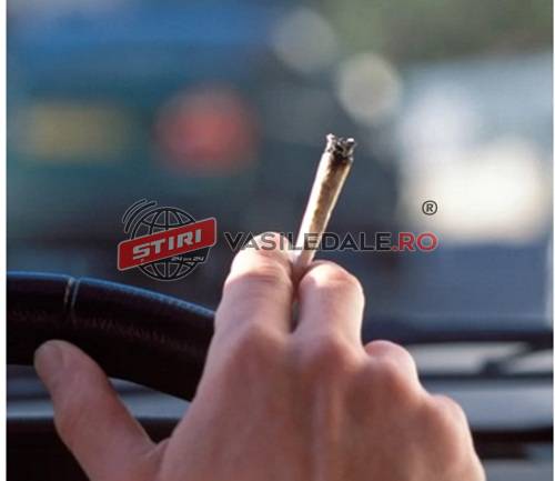 ÎN TRAFIC: Prins la volan sub influența drogurilor, deși avea permisul suspendat, șofer cu aproape 0,90 mg/l alcool pur în aerul expirat în Borcut, transport ilegal de lemne depistat la Șomcuta Mare