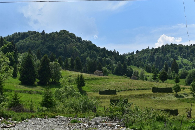 Noua față a economiei în satele maramureșene