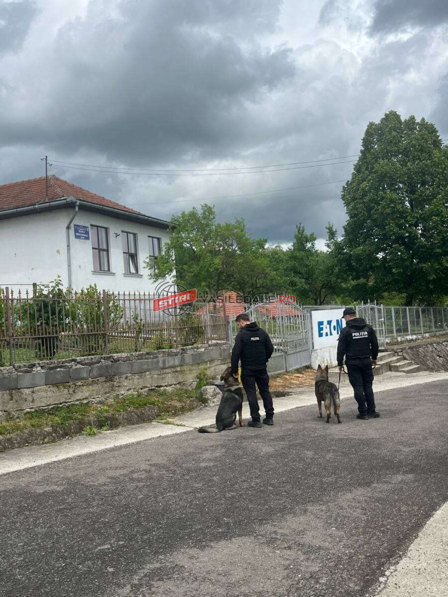 Elevii din Sârbi și Ardusat, informați de polițiști despre prevenirea faptelor antisociale