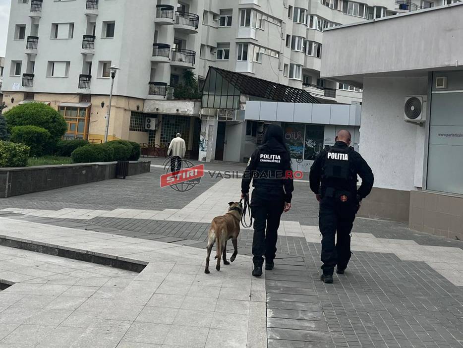 Acțiune preventivă în zona unităților de învățământ din municipiul Baia Mare