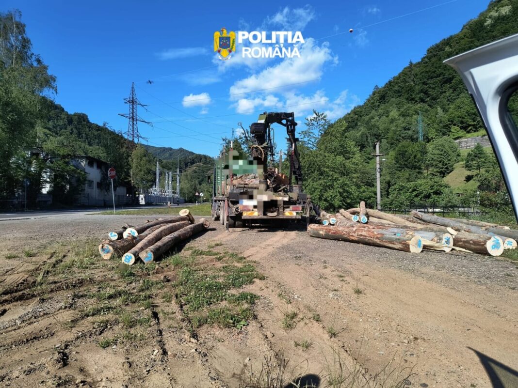 ÎN TRAFIC: Amenzi, permise și certificate reținute în Baia Sprie, șofer băut și cu permisul anulat, a făcut accident la Borșa. Nereguli descoperite de polițiști și inspectorii RAR la Cavnic