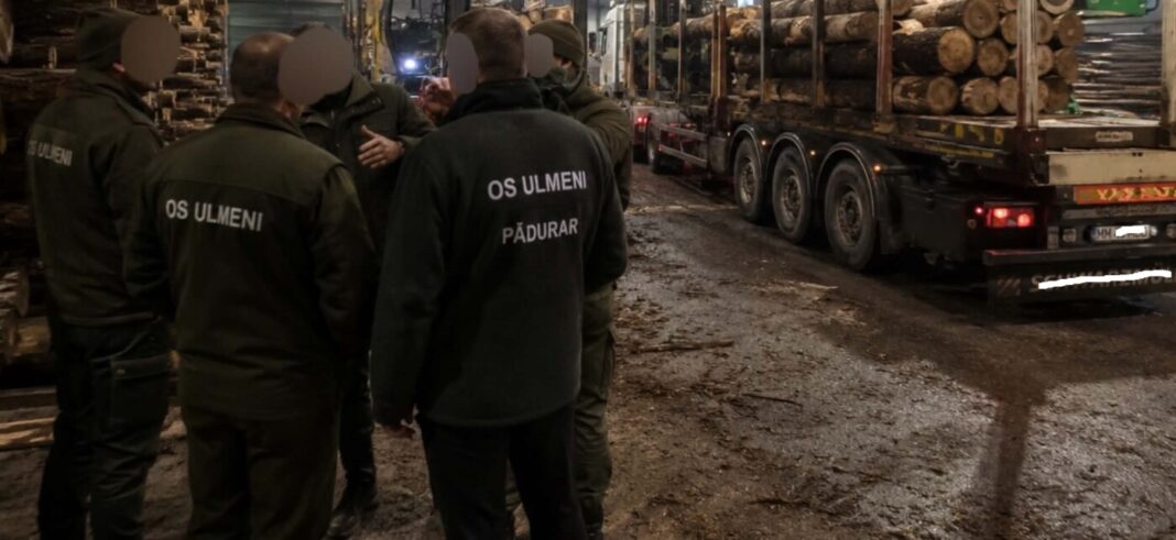 SUNT CU NERVII LA PĂMÂNT CEI DE LA OS Ulmeni: S-au pălmuit sau nu? Unii zic ca da, alții zic că nu, alții că victima nu ar fi lăsată să depună plângere la poliție