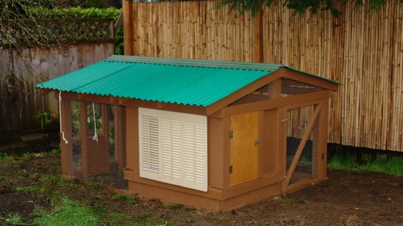Pregătirea adăpostului pentru animale iarna: pași practici pentru fiecare specie