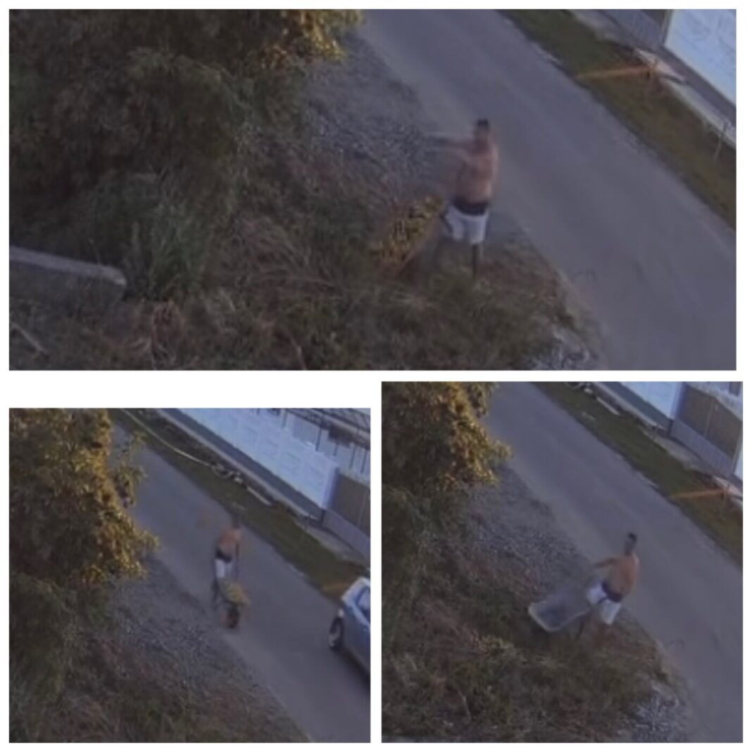 SATULUNG: Deșeurile abandonate pe domeniul public, depistate cu ajutorul camerelor video