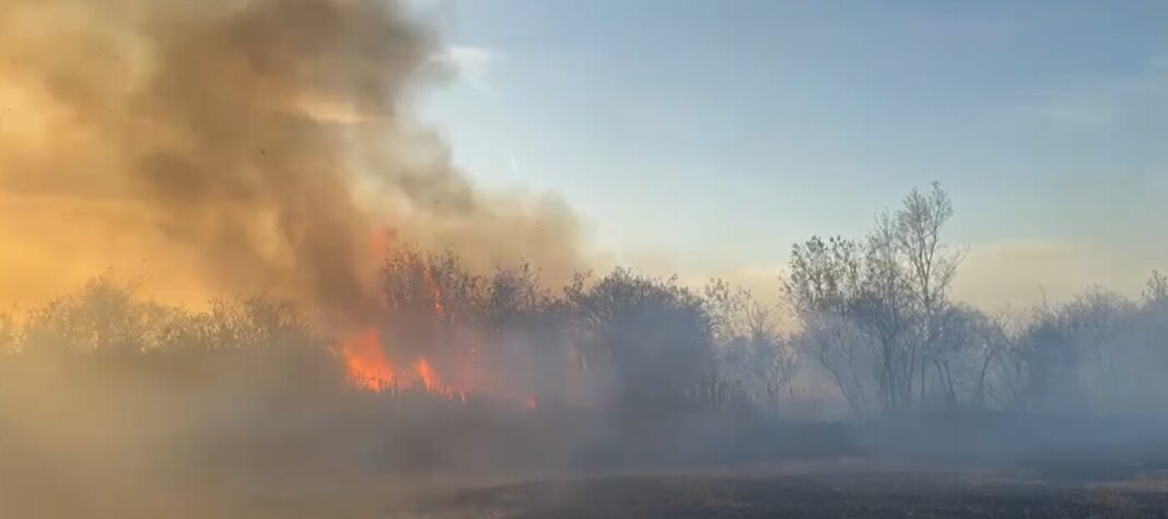 foc remeti