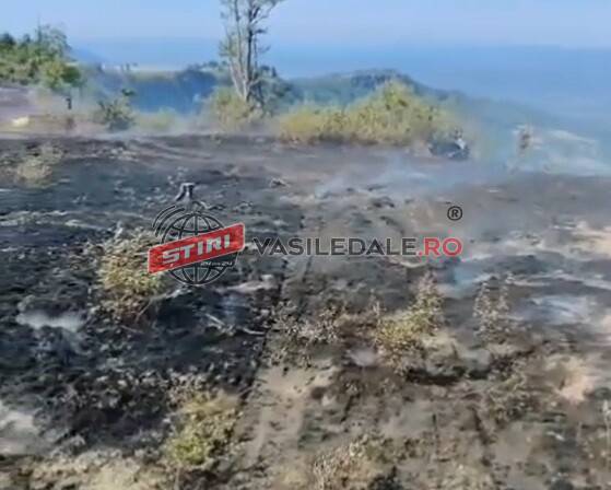 Intervenție dificilă a pompierilor maramureșeni pentru stingerea unui incendiu de vegetație în zona Vârfului Țiganu – video