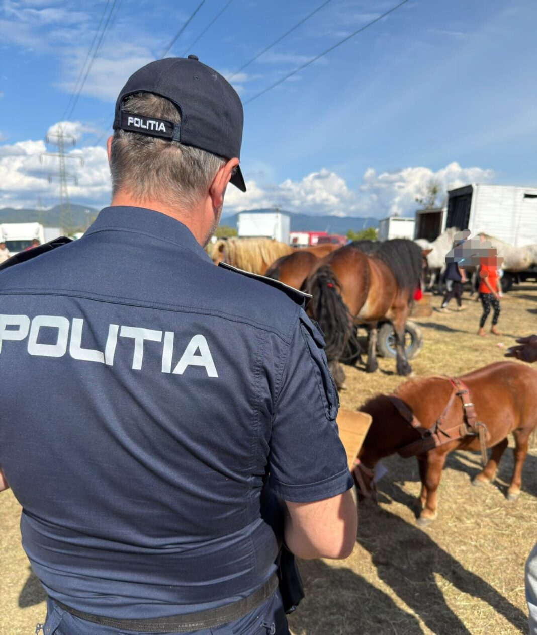 poili animale