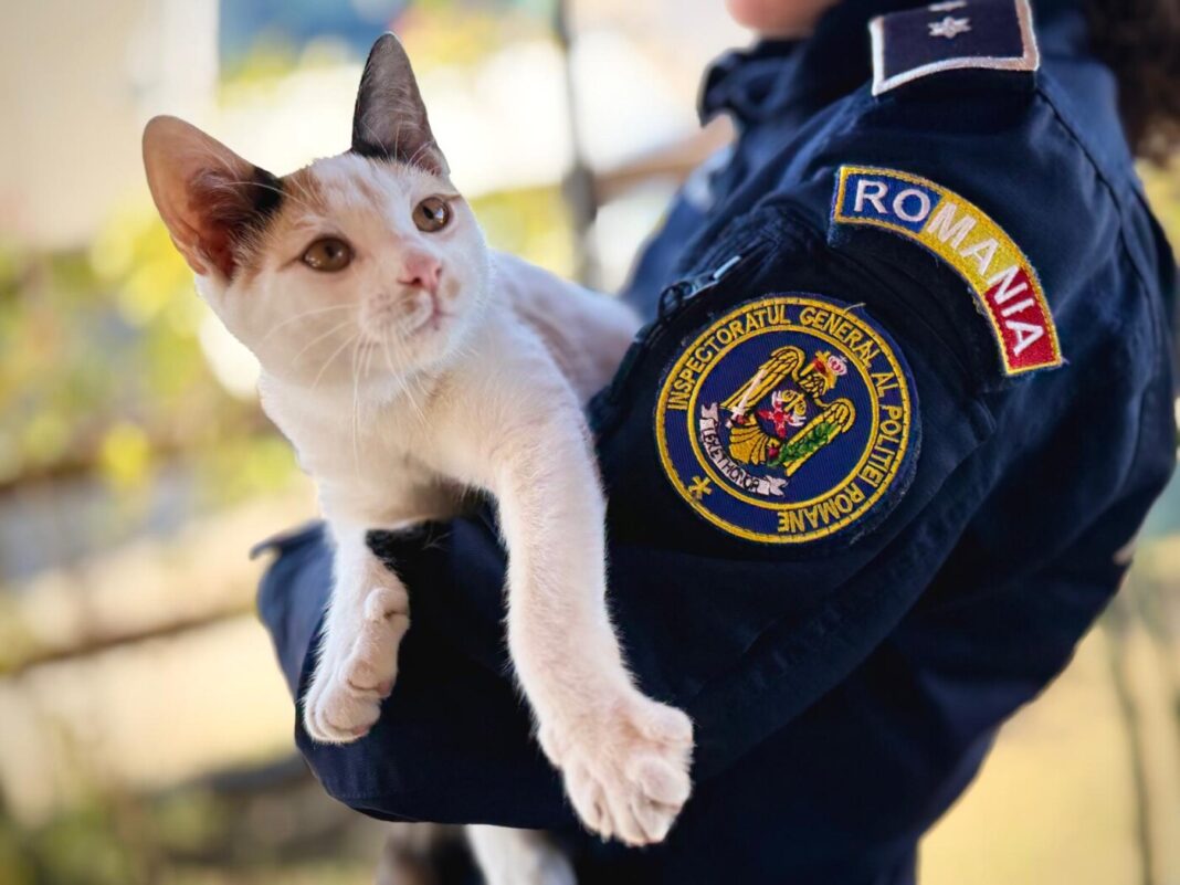 De Ziua Animalelor, Poliția Maramureș atrage atenția: respectul și grija nu sunt opționale