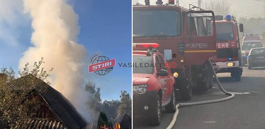 INCENDIU ÎN ROHIA: Pompierii voluntari din Târgu Lăpuș au intervenit alături de militari