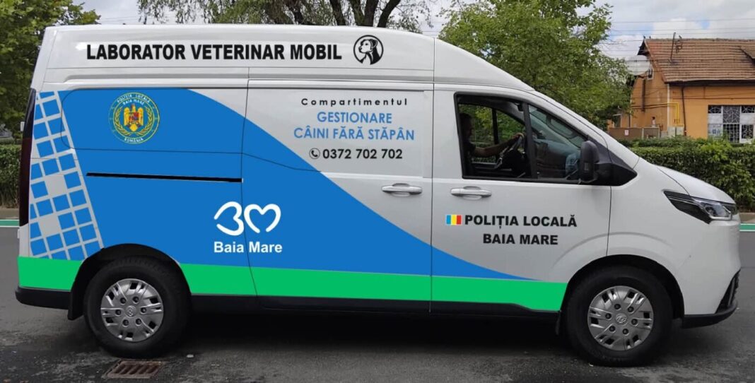 Poliția Locală Baia Mare propune o nouă abordare pentru gestionarea câinilor fără stăpân